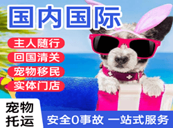 邯郸机场快递国际宠物托运 【国